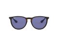 Ray-Ban Erika Aurinkolasit RB 4171 6392/76