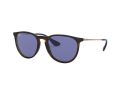Ray-Ban Erika Aurinkolasit RB 4171 6392/76