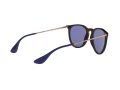 Ray-Ban Erika Aurinkolasit RB 4171 6392/76