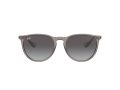 Ray-Ban Erika Aurinkolasit RB 4171 6513/8G