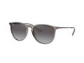 Ray-Ban Erika Aurinkolasit RB 4171 6513/8G