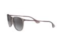 Ray-Ban Erika Aurinkolasit RB 4171 6513/8G