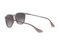 Ray-Ban Erika Aurinkolasit RB 4171 6513/8G