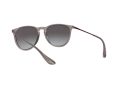 Ray-Ban Erika Aurinkolasit RB 4171 6513/8G