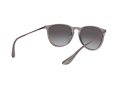Ray-Ban Erika Aurinkolasit RB 4171 6513/8G