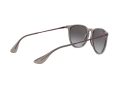 Ray-Ban Erika Aurinkolasit RB 4171 6513/8G