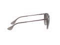 Ray-Ban Erika Aurinkolasit RB 4171 6513/8G