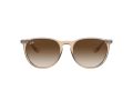 Ray-Ban Erika Aurinkolasit 4171 651413