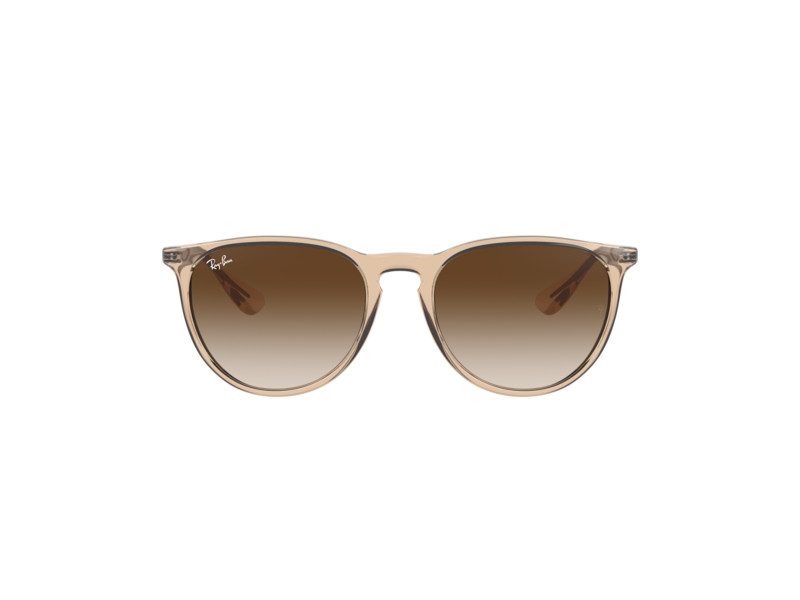 Ray-Ban Erika Aurinkolasit RB 4171 6514/13