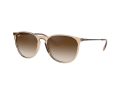 Ray-Ban Erika Aurinkolasit 4171 651413