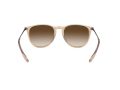 Ray-Ban Erika Aurinkolasit 4171 651413