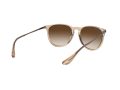 Ray-Ban Erika Aurinkolasit 4171 651413