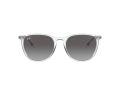 Ray-Ban Erika Aurinkolasit RB 4171 651611