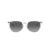 Ray-Ban Erika Aurinkolasit RB 4171 651611