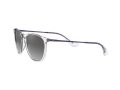 Ray-Ban Erika Aurinkolasit RB 4171 651611