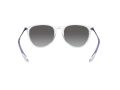 Ray-Ban Erika Aurinkolasit RB 4171 651611
