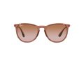 Ray-Ban Erika Aurinkolasit RB 4171 6590/13