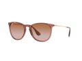 Ray-Ban Erika Aurinkolasit RB 4171 6590/13