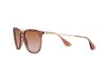 Ray-Ban Erika Aurinkolasit RB 4171 6590/13