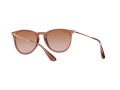 Ray-Ban Erika Aurinkolasit RB 4171 6590/13
