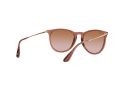 Ray-Ban Erika Aurinkolasit RB 4171 6590/13