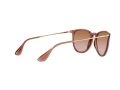 Ray-Ban Erika Aurinkolasit RB 4171 6590/13