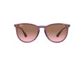 Ray-Ban Erika Aurinkolasit RB 4171 659114