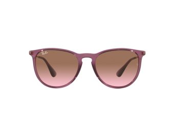 Ray-Ban Erika Aurinkolasit RB 4171 659114