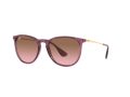 Ray-Ban Erika Aurinkolasit RB 4171 659114