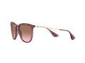 Ray-Ban Erika Aurinkolasit RB 4171 659114