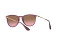Ray-Ban Erika Aurinkolasit RB 4171 659114