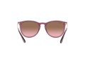 Ray-Ban Erika Aurinkolasit RB 4171 659114