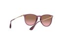 Ray-Ban Erika Aurinkolasit RB 4171 659114