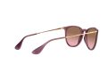 Ray-Ban Erika Aurinkolasit RB 4171 659114