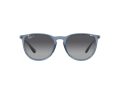 Ray-Ban Erika Aurinkolasit RB 4171 6592T3