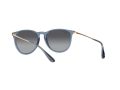 Ray-Ban Erika Aurinkolasit RB 4171 6592T3
