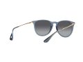 Ray-Ban Erika Aurinkolasit RB 4171 6592T3