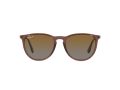 Ray-Ban Erika Aurinkolasit RB 4171 6593/T5