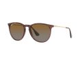 Ray-Ban Erika Aurinkolasit RB 4171 6593/T5