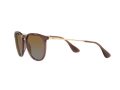 Ray-Ban Erika Aurinkolasit RB 4171 6593/T5
