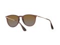 Ray-Ban Erika Aurinkolasit RB 4171 6593/T5