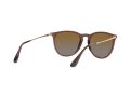 Ray-Ban Erika Aurinkolasit RB 4171 6593/T5