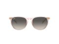Ray-Ban Erika Aurinkolasit RB 4171 674211