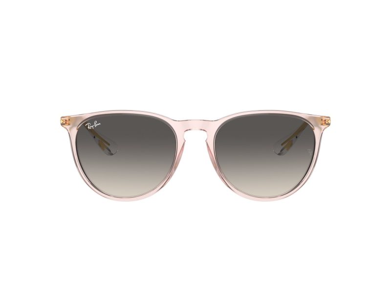 Ray-Ban Erika Aurinkolasit RB 0RB4171 674211