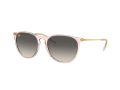 Ray-Ban Erika Aurinkolasit RB 4171 674211