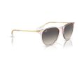 Ray-Ban Erika Aurinkolasit RB 4171 674211