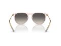 Ray-Ban Erika Aurinkolasit RB 4171 674211