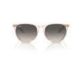 Ray-Ban Erika Aurinkolasit RB 4171 674211