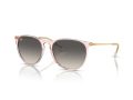 Ray-Ban Erika Aurinkolasit RB 4171 674211