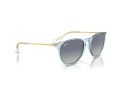 Ray-Ban Erika Aurinkolasit RB 0RB4171 67434L